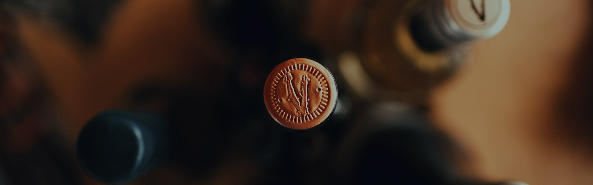 venstisquero-tips-seccion0-header-banner1-1920x600-1